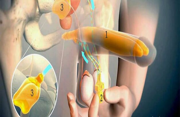 Lipofilling -toiminta
